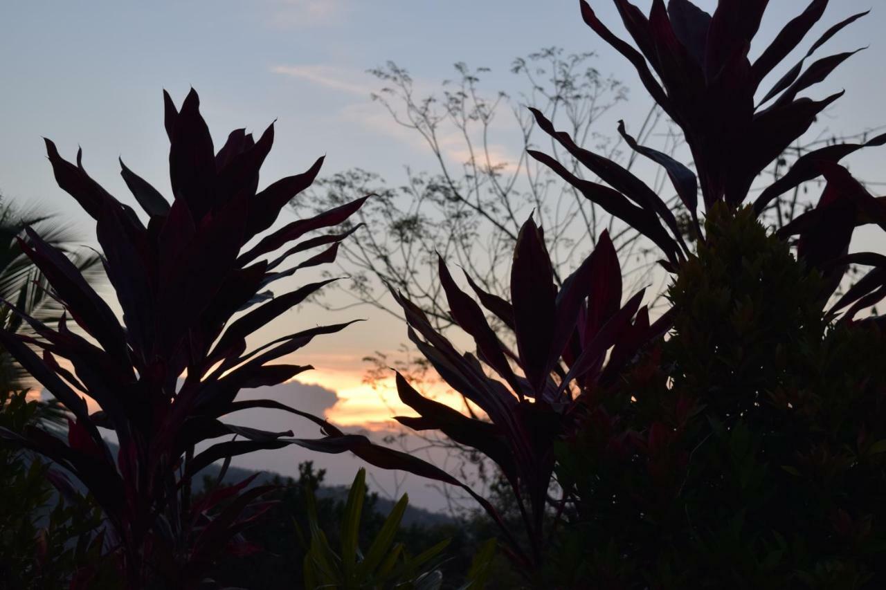 Putih विला Lovina (Bali)